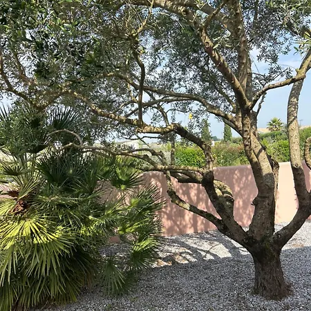 Cosy Dans Maison Familiale Avec Petit Dejeuner Chez Olivier Et Manuel A Clavette, Proche La Rochelle Bed & Breakfast